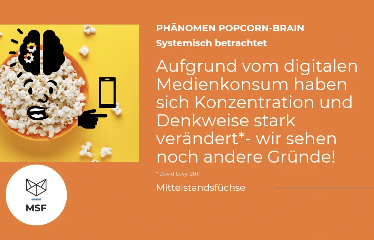 Abbildung zum Beitrag „POPCORN BRAIN- UNSERE SYSTEMISCHE EXPERTEN-ANALYSE“